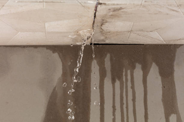 Professional Water Damage Repair technician working in South Deerfield, MA